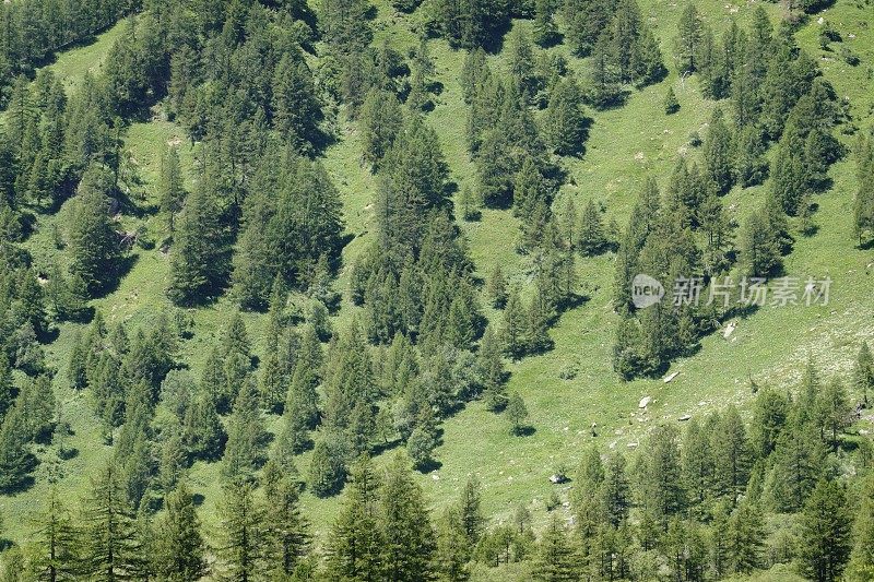 Alpe Devero - Piedmont - Italy报道